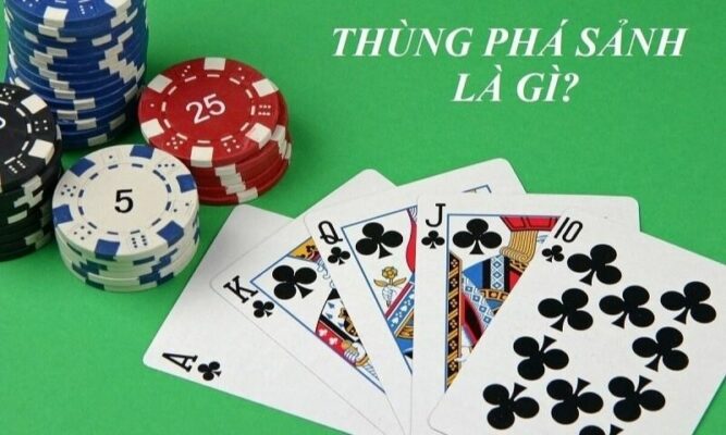 Lý giải thùng phá sảnh thượng là gì trong mậu binh và xì tố mới nhất 2022